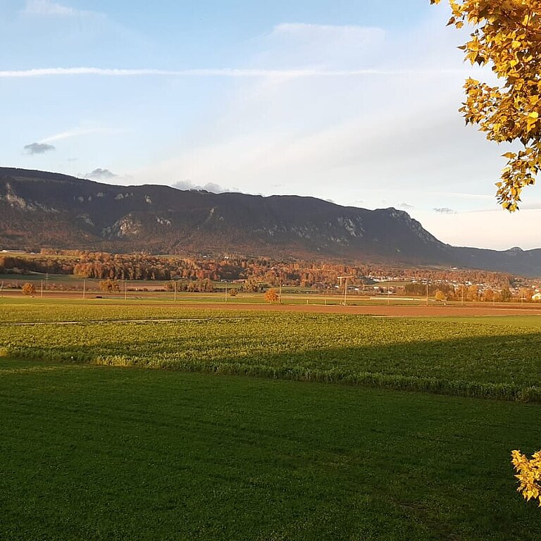 Blick vom Turm Richtung Jura