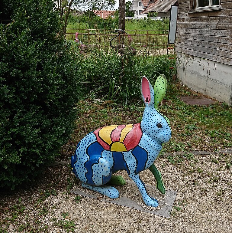 «Witi-Hase» «Witi-Hase»