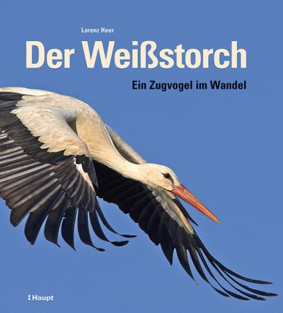 Buch-Weissstorch.jpg  